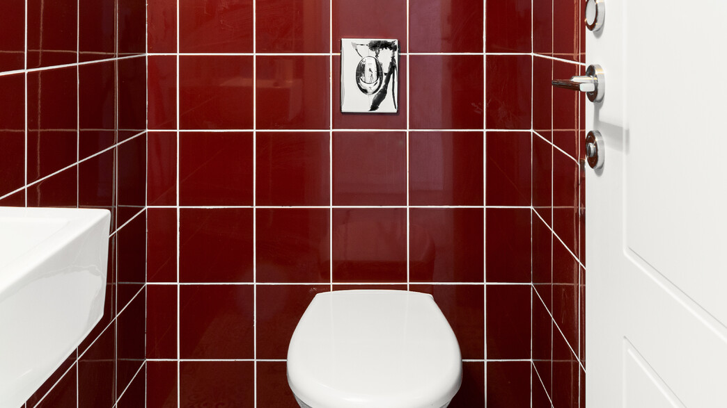 שירותי אורחים, ג, עיצוב הלנה מור, שירותי אורחים, ג, עיצוב הלנה מור,