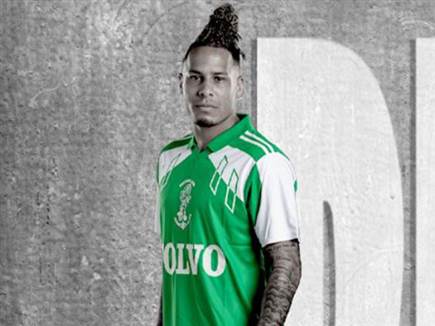 מכבי חיפה, עונת הדאבל 1991