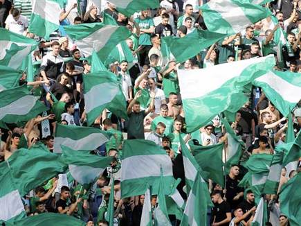 הכל היה ערוך ומוכן לחגיגה ירוקה (אלן שיבר)