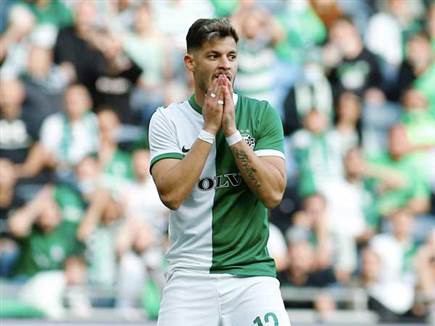 אך בזאת הסתכמה החגיגה הירוקה על הדשא (אלן שיבר)