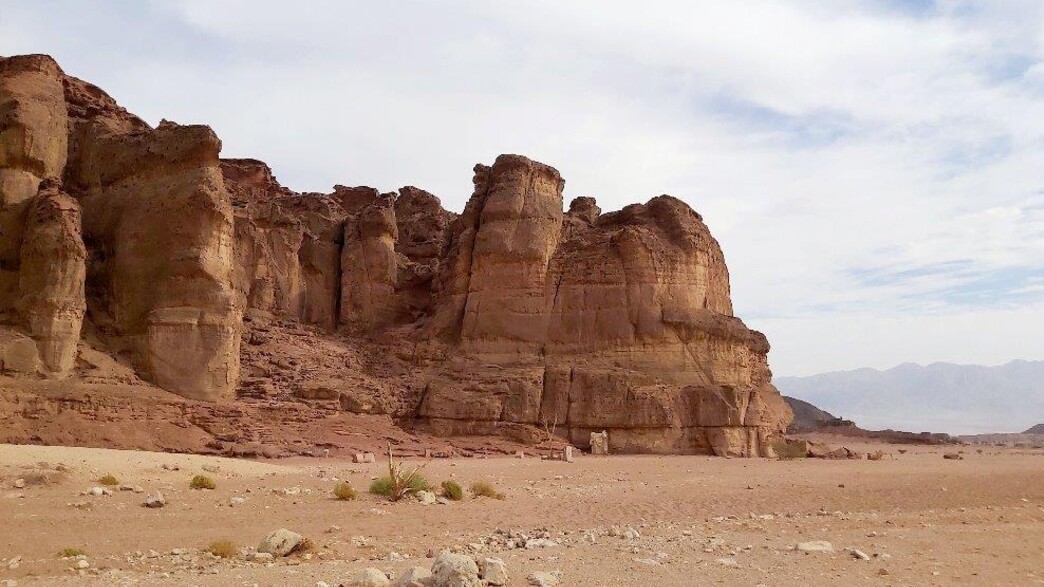 עמודי שלמה, פארק תמנע ערבה