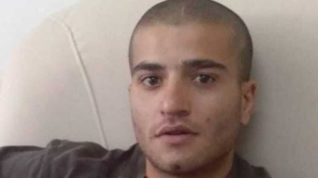 דוד חי וקנין דוד חי וקנין