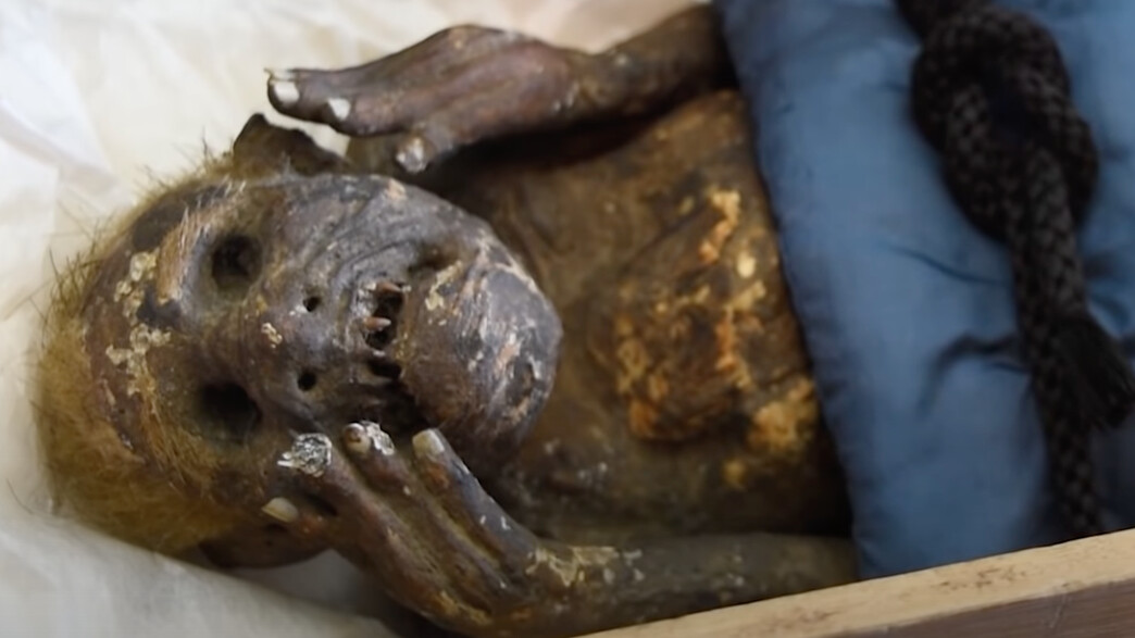 מומיה בת ים שהתגלתה ביפן מומיה בת ים שהתגלתה ביפן