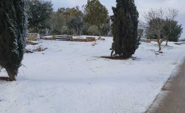 שלג בקיבוץ מלכיה שבגליל (צילום: עידן ברנע, החברה להגנת הטבע)