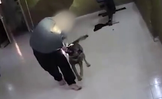 כלב גורר את המבוקש, פעילות של מסתערבי משמר הגבול  (צילום: דוברות המשטרה)