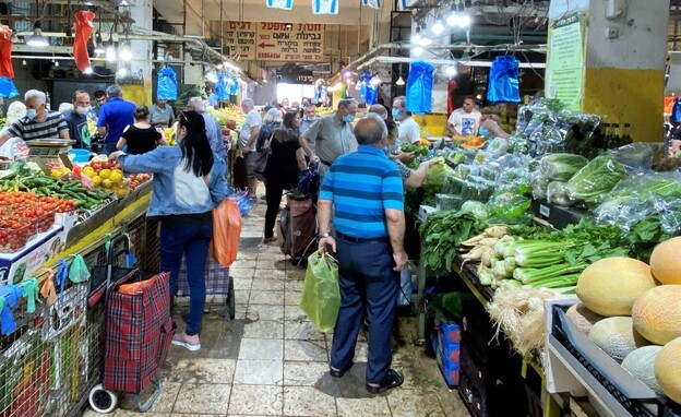 תלפיות  (צילום: דוברות עיריית חיפה)