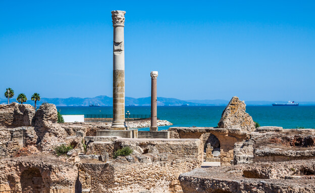 קרתגו תוניסיה (צילום: Lukasz Janyst, shutterstock)
