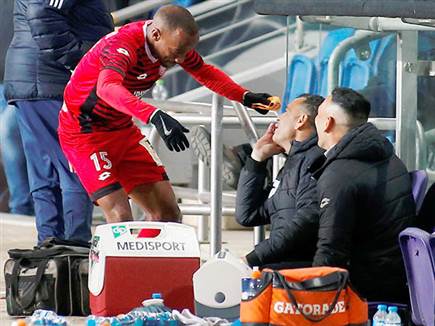 ורץ לחגוג עם קורצקי (אלן שיבר)