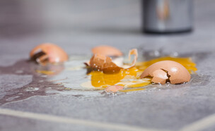 ביצה שבורה (צילום: plprod, shutterstock)