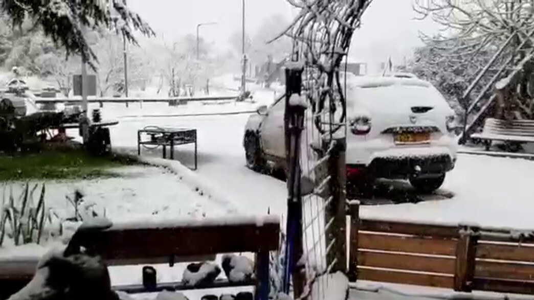 שלג בצפון רמת הגולן