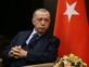 רג'פ טאיפ ארדואן, נשיא טורקיה (צילום: AP)