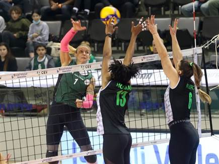 עלו לרשת (קרדיט: לילך וויס)