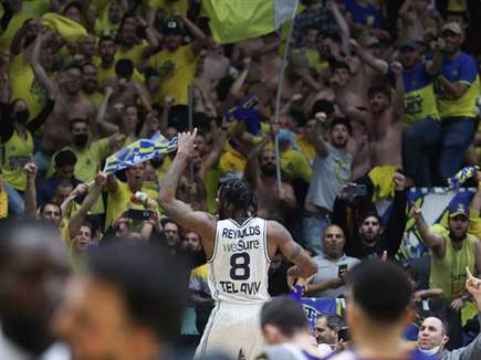 טירוף מוחלט (דני מרון)