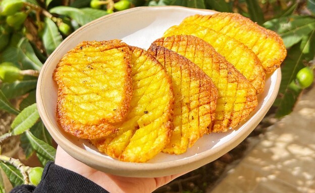 תפוח אדמה אקורדיון