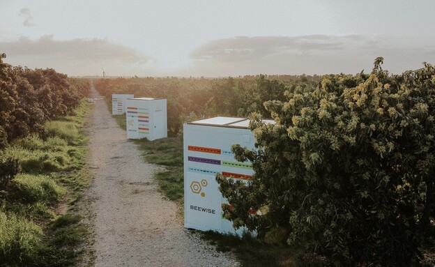 Beewise מכונות בשדה (צילום: Beewise, יח"צ)