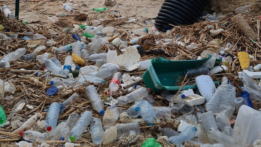 פסולת בחוף געש פסולת בחוף געש