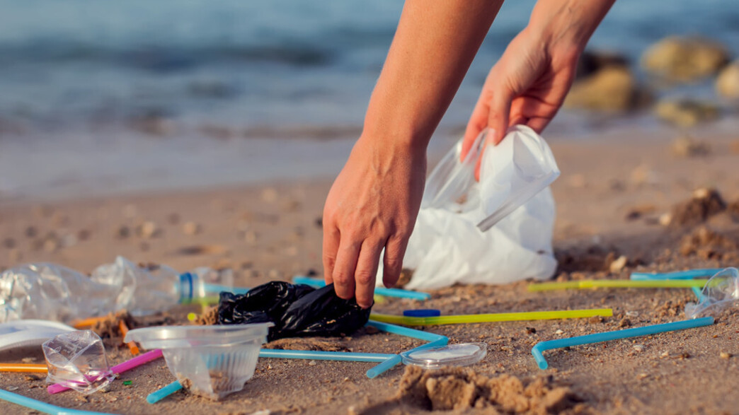 ניקיון חופים