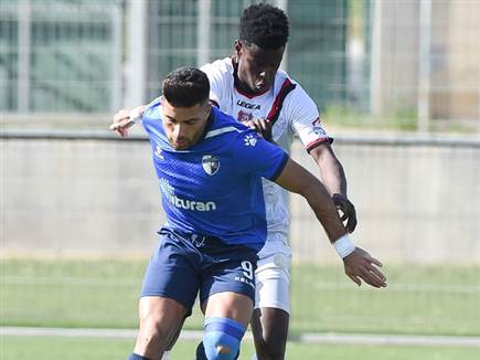 שבירו. העונה הטובה בקריירה (ברני ארדוב)