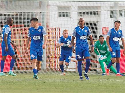 עוד יתאוששו? (אלן שיבר)