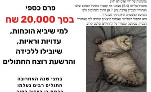 מודעה ללכידת רוצח החתולים של רמת גן (צילום: פרטי)