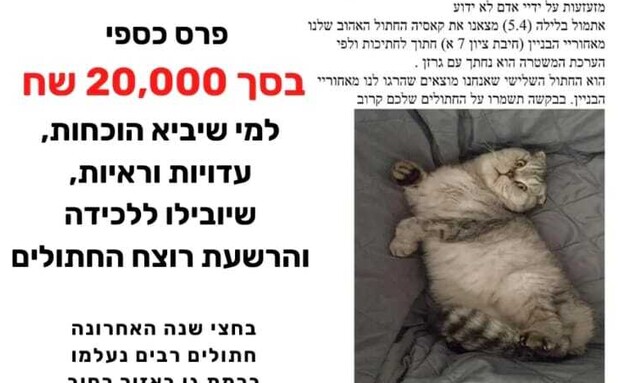 מודעה ללכידת רוצח החתולים של רמת גן (צילום: פרטי)