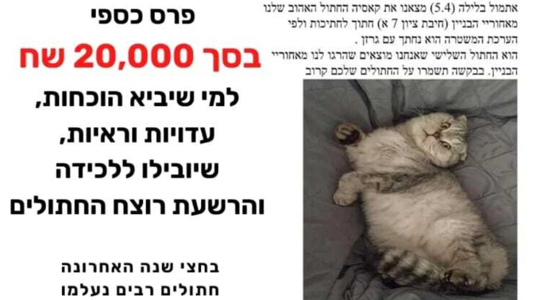 מודעה ללכידת רוצח החתולים של רמת גן