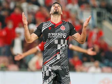 החמצות (אלן שיבר)