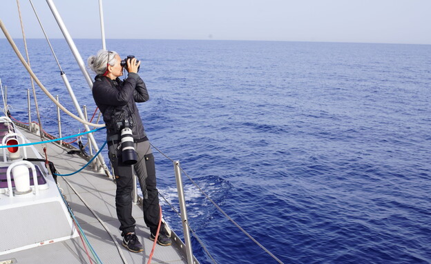 חוקרת של גרינפיס משקיפה על הים התיכון (צילום: אלעד איבס, Greenpeace)