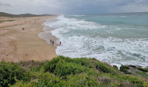 שביל האטד (צילום: עינב לנדאו )