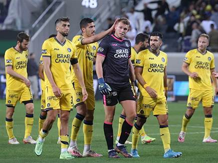 אין תלונות לשחקנים (אלן שיבר)