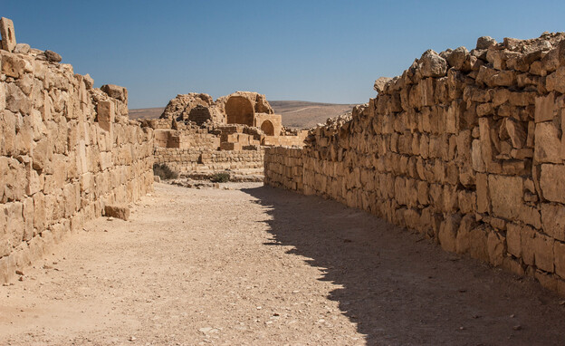 גן לאומי שבטה