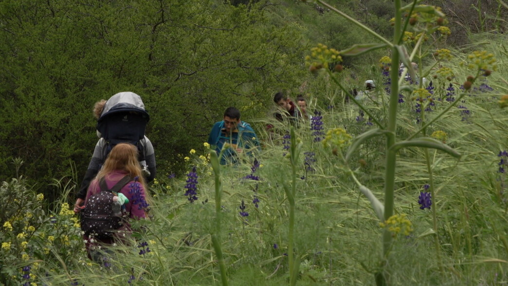אל תשארו בבית בפסח: מסלולי הטיולים המומלצים אל תשארו בבית בפסח: מסלולי הטיולים המומלצים