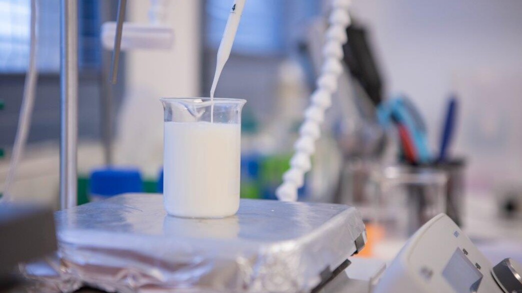 remilk, חלב מתורבת remilk, חלב מתורבת