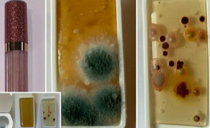 "החיידקים מחלישים את המערכת החיסונים" (צילום: מתוך "פאולה וליאון", קשת12)