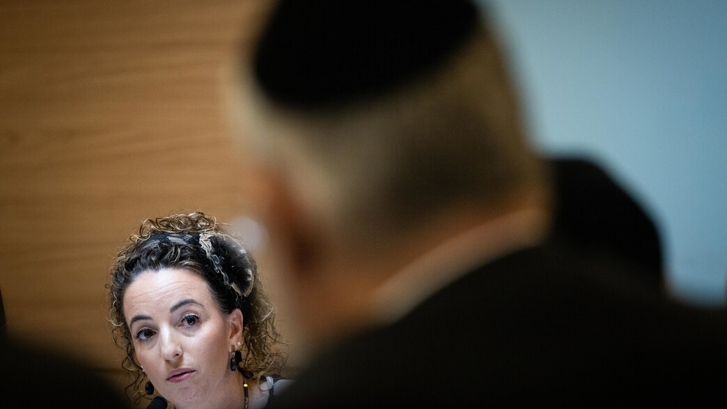 עידית סילמן, כנסת עידית סילמן, כנסת
