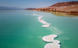 פטריות ים המלח (צילום: Evgeniy pavlovski, shutterstock)