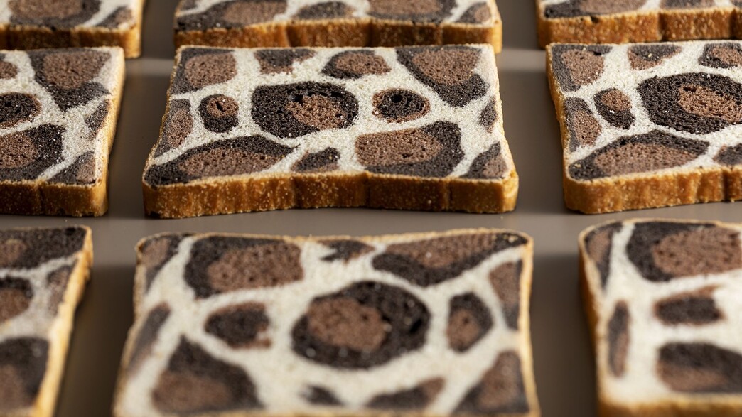 פייסטרי בוקס - לחם קסטן מנומר פייסטרי בוקס - לחם קסטן מנומר