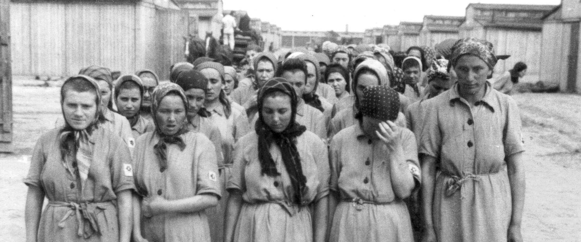 נשים יהודיות לאחר הסלקציה, בירקנאו מאי-יוני 1944 (צילום: יד ושם)