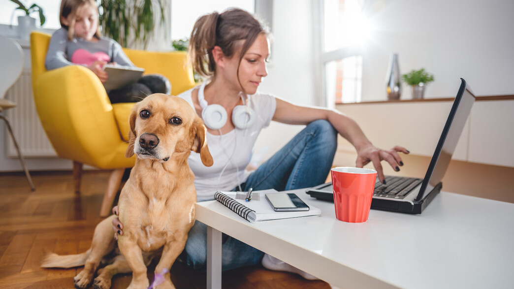 שימור עובדים: אישה עובדת עם כלב וילדה 