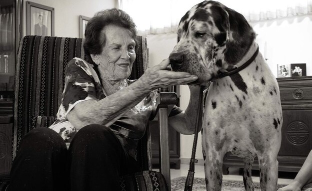 מה הלוז – 26.4 - אירועי יום השואה 2022 - כלבים בשואה - נינה דינר