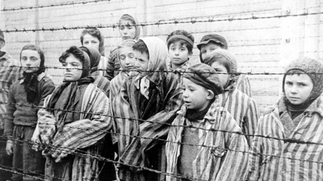 ילדים אסירים באושוויץ (צילום: wikimedia)