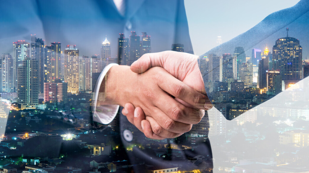 הכרישים- פיפלביז הכרישים- פיפלביז