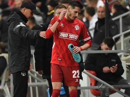 ישוב להרכב. לופס (ברני ארדוב)