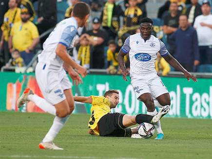 והצליחה להילחם (צילום: אלן שיבר)