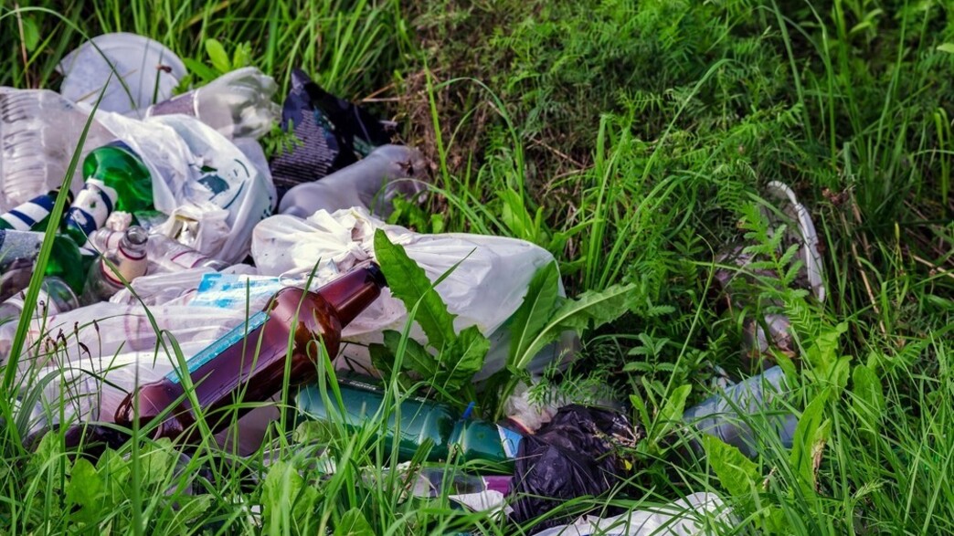 זבל בטבע זבל בטבע