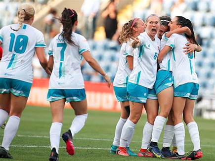 חוגגות (אלן שיבר)