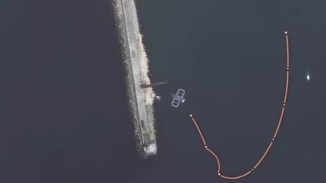 דולפינים בשירות הצבא הרוסי בבסיס בסבסטופול 