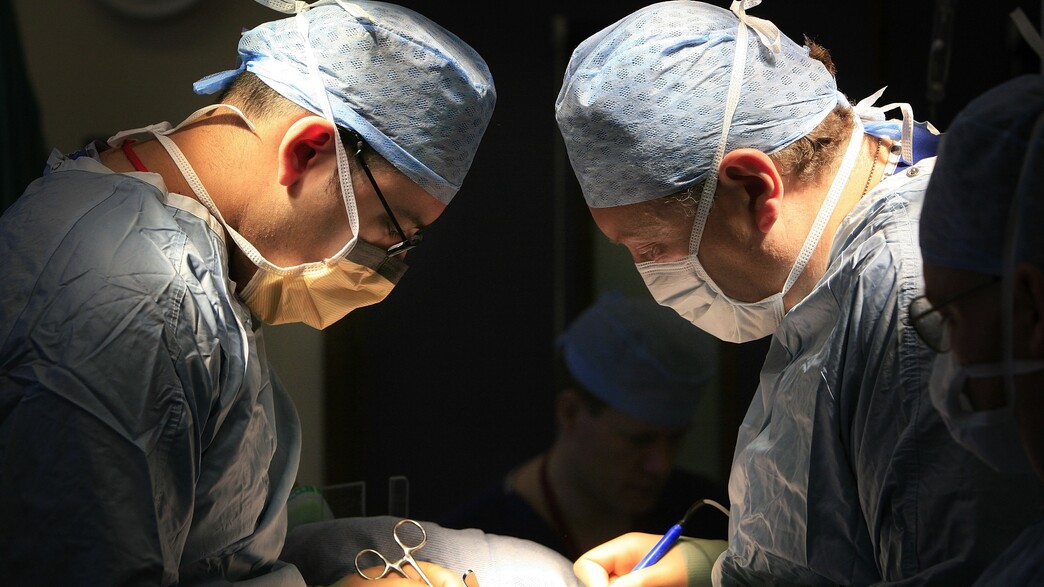 השתלת איברים