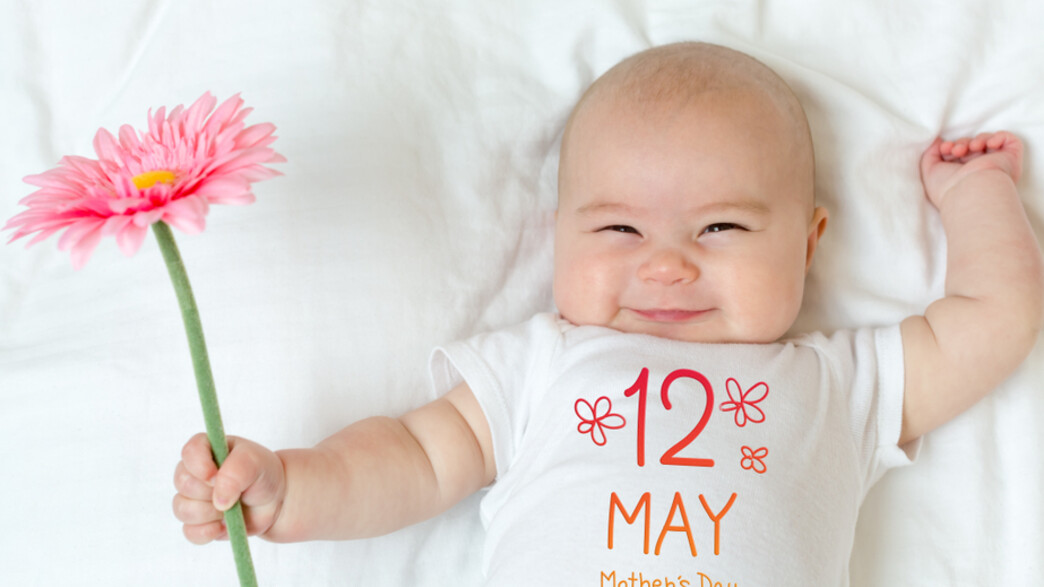 תינוק מחזיק פרח תינוק מחזיק פרח