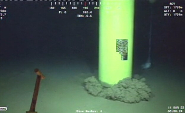 הרובוט מגיע לקרקעית הים (צילום: חדשות 12)